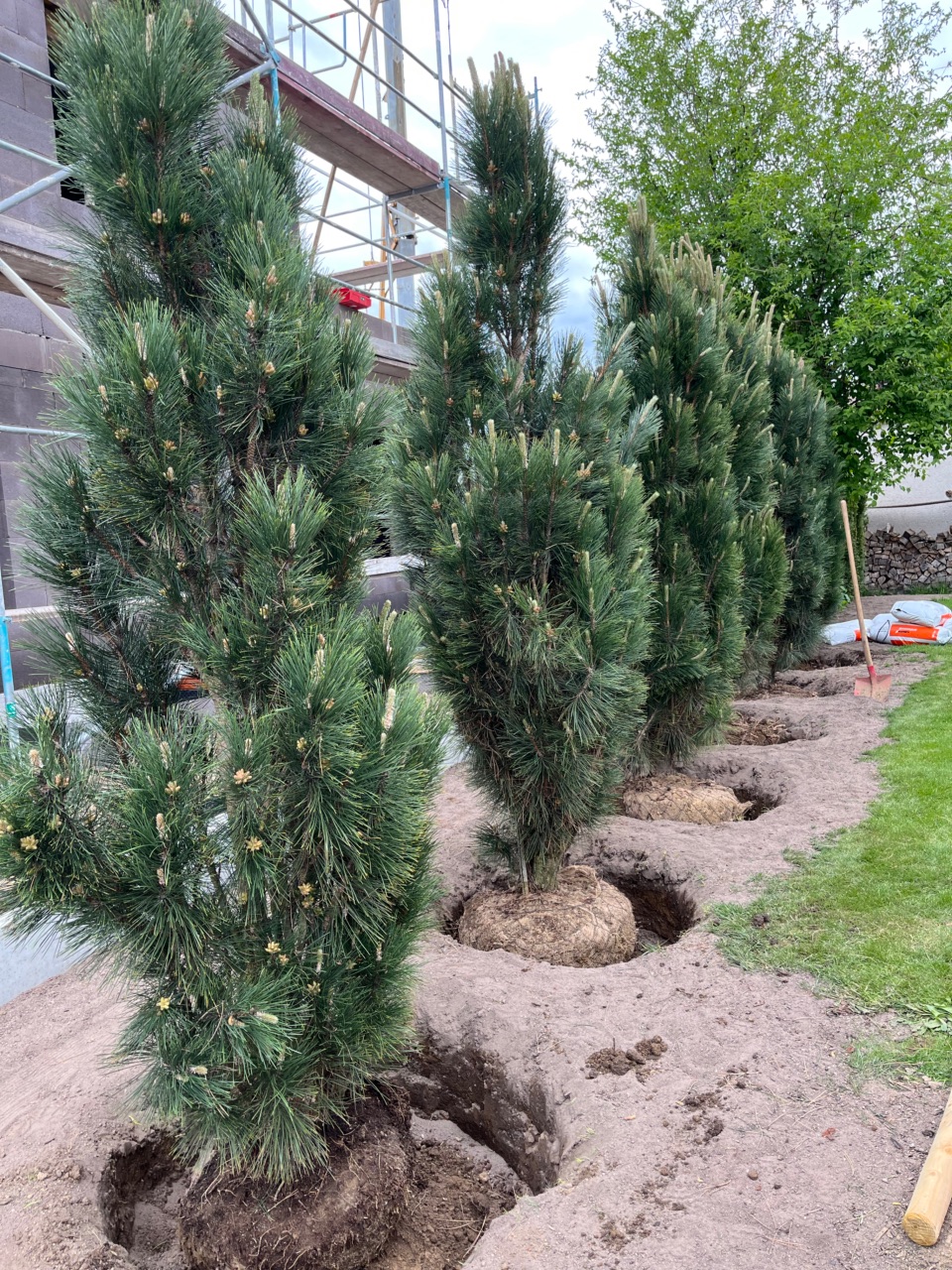 Bepflanzung von Gartenanlagen