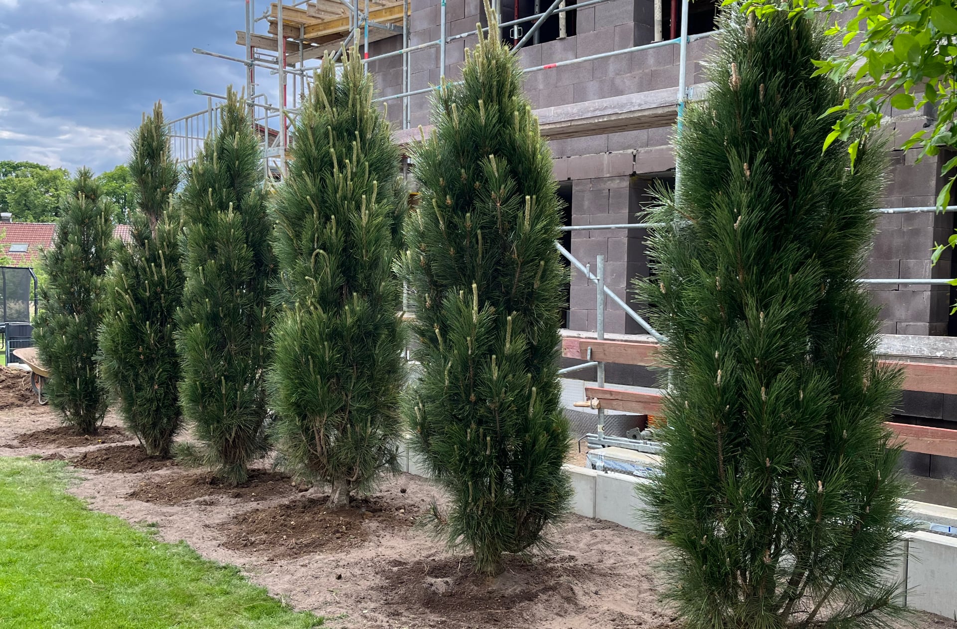 Aussenanlagen und Gartenbau