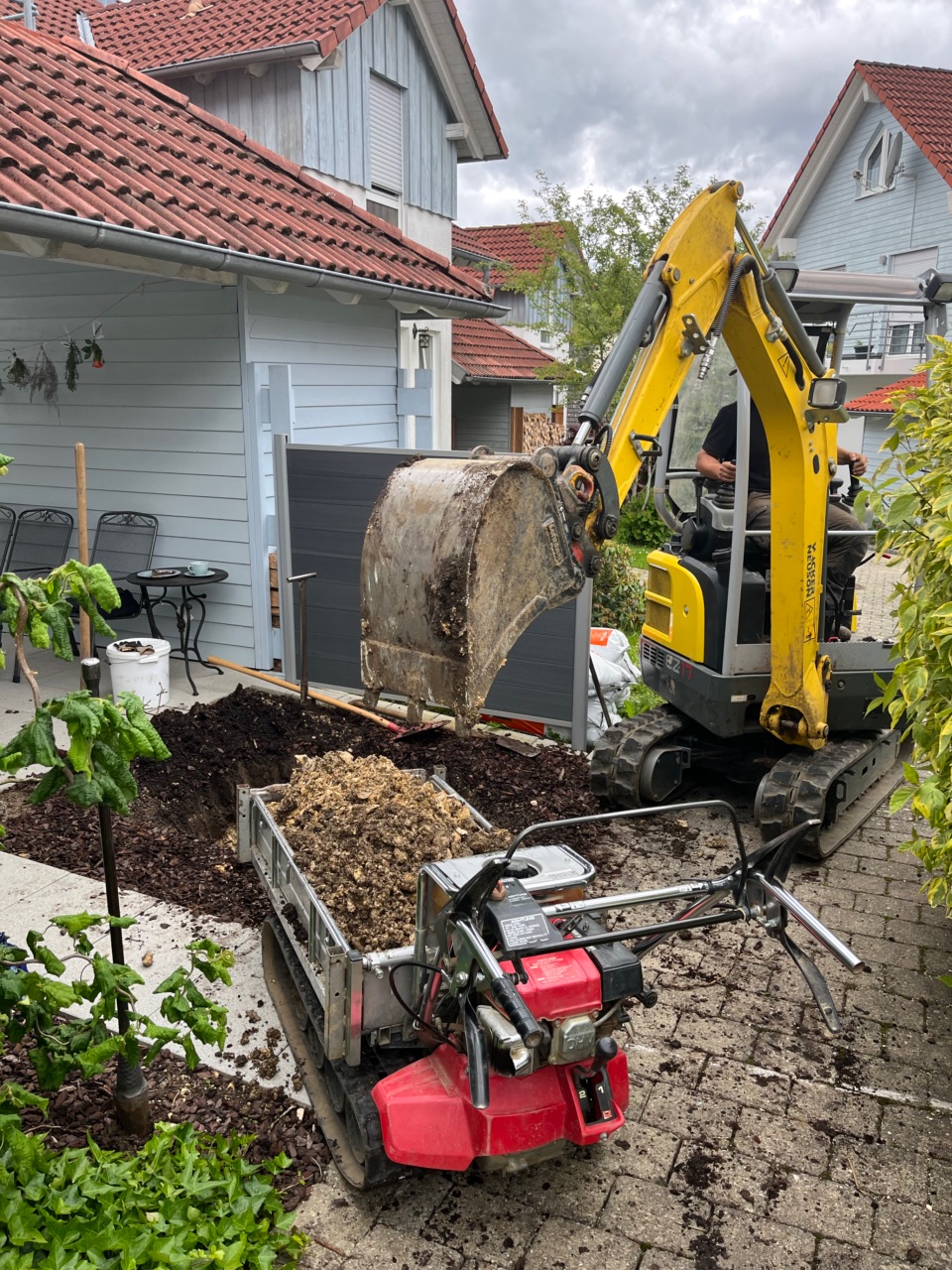 Baumpflanzung mit Mini-Bagger