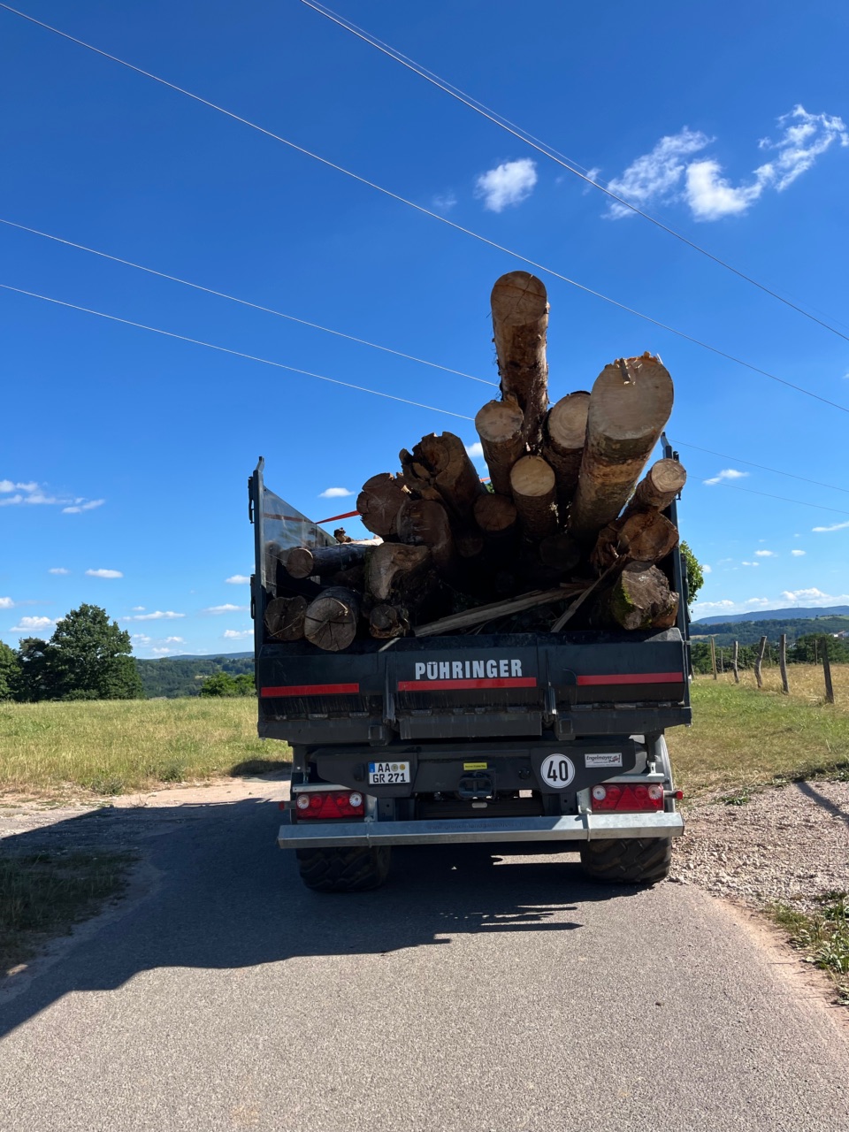 Abtransport von Holz