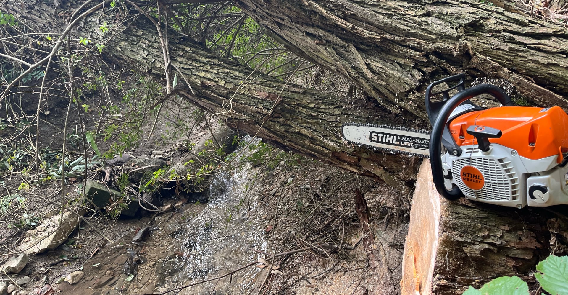 Forstarbeiten mit moderner Technik im Waldgebiet