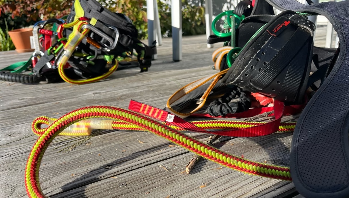 Die Ausrüstung für Baumpflege und Baumarbeiten – Sicherheit und Nachhaltigkeit