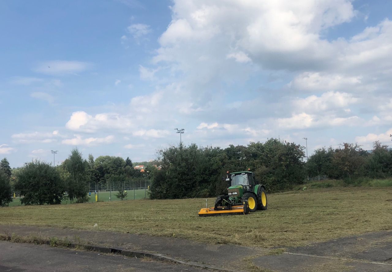 Pflege und Instandhaltung von öffentlichen Grünflächen