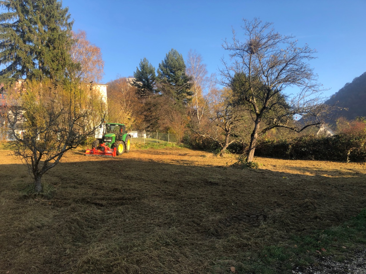 Mäharbeiten im Waldgrundstück