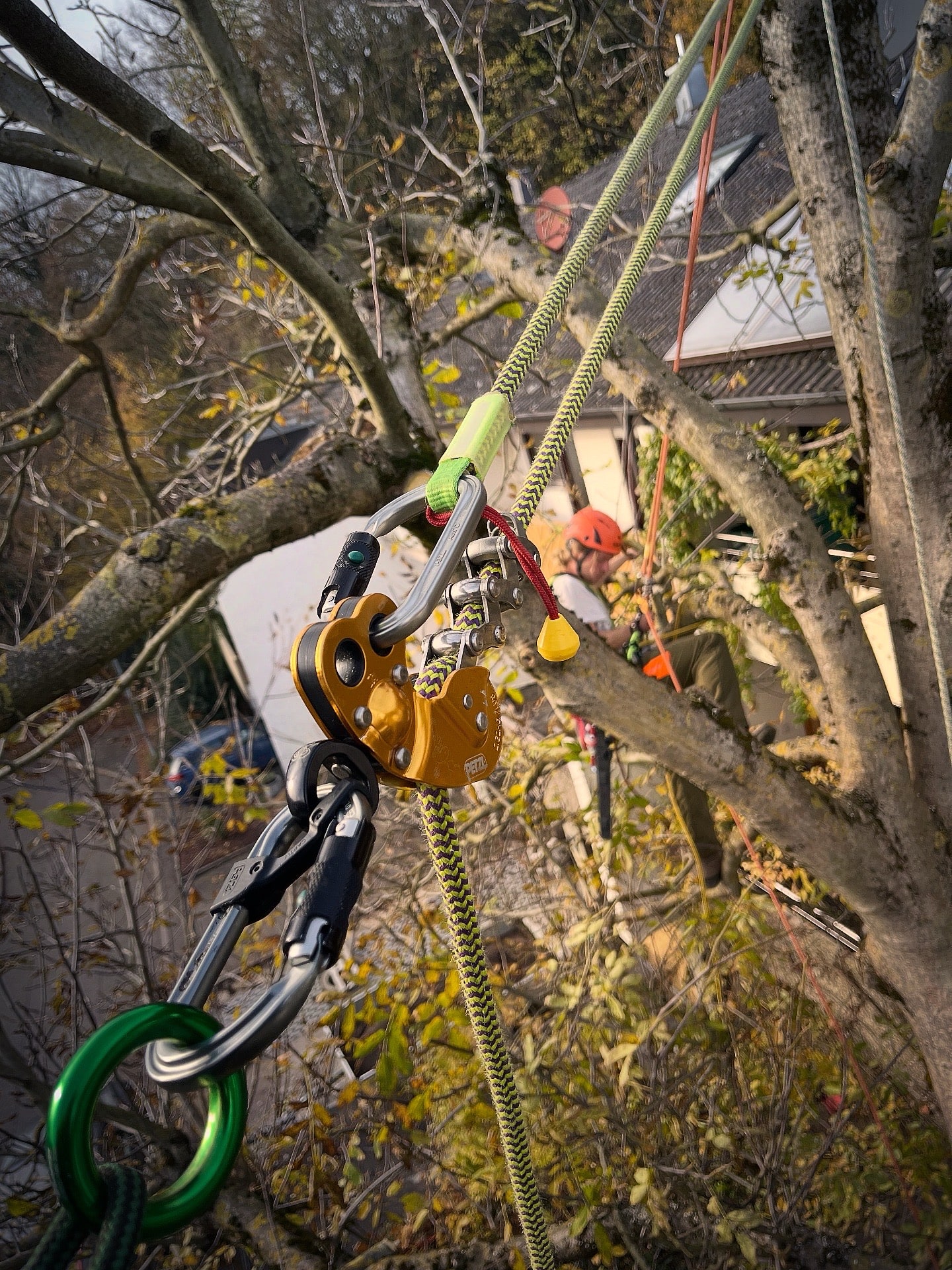 Baumarbeiten mit Baumklettertechnik