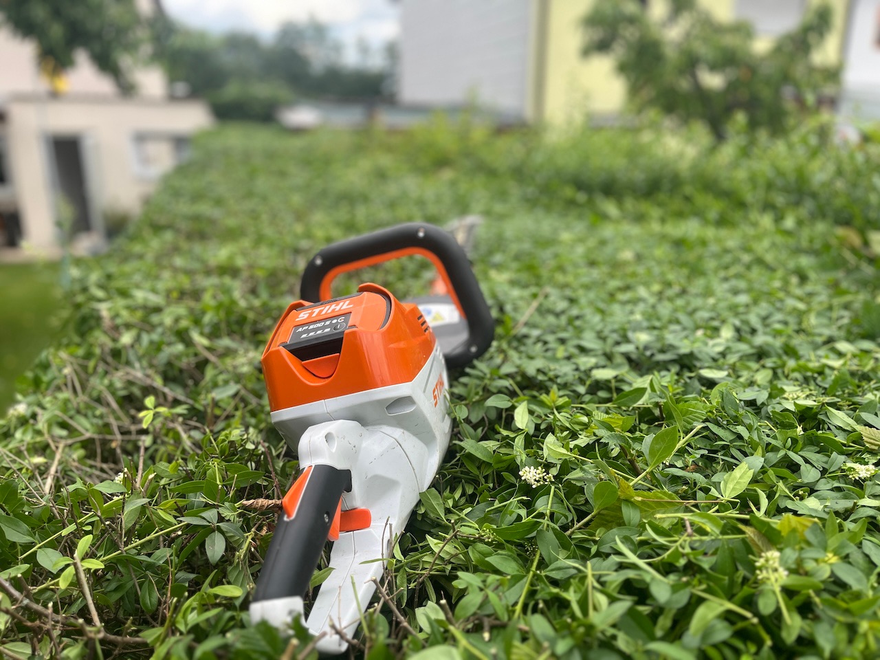 Werkzeug für Heckenschnitt
