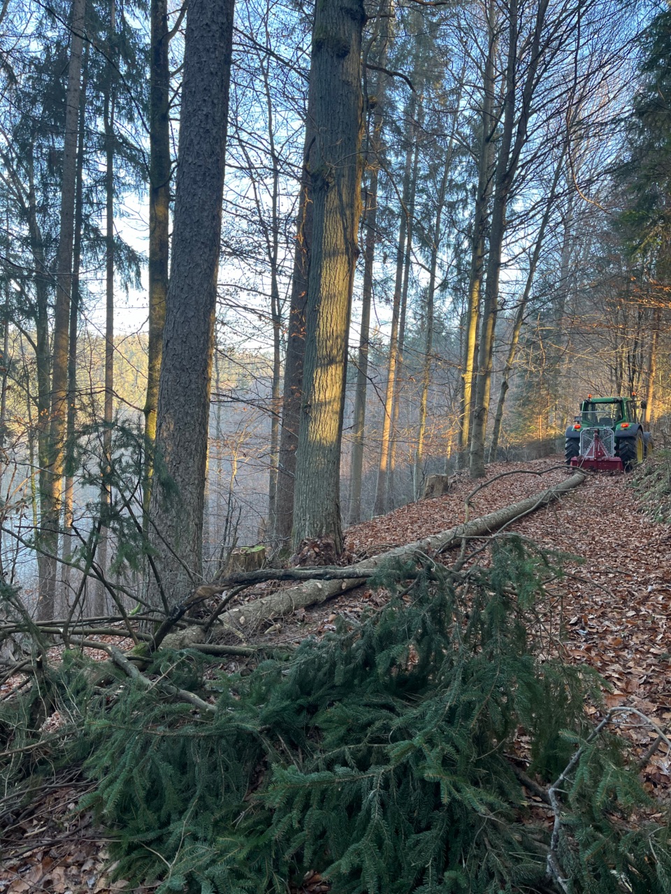 Forstarbeiten mit Seilwinde