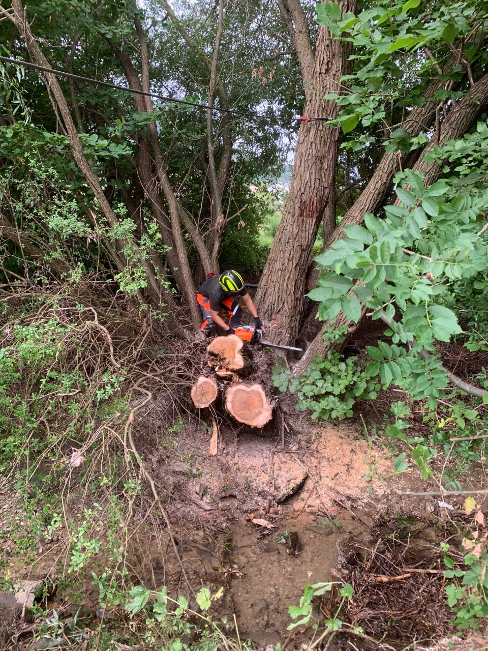 Baumfällung in schwierigem Gelände